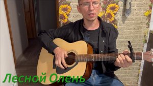 Лесной Олень (кавер и аккорды)