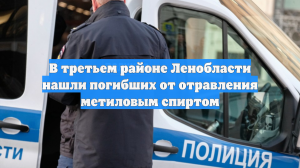 В третьем районе Ленобласти нашли погибших от отравления метиловым спиртом