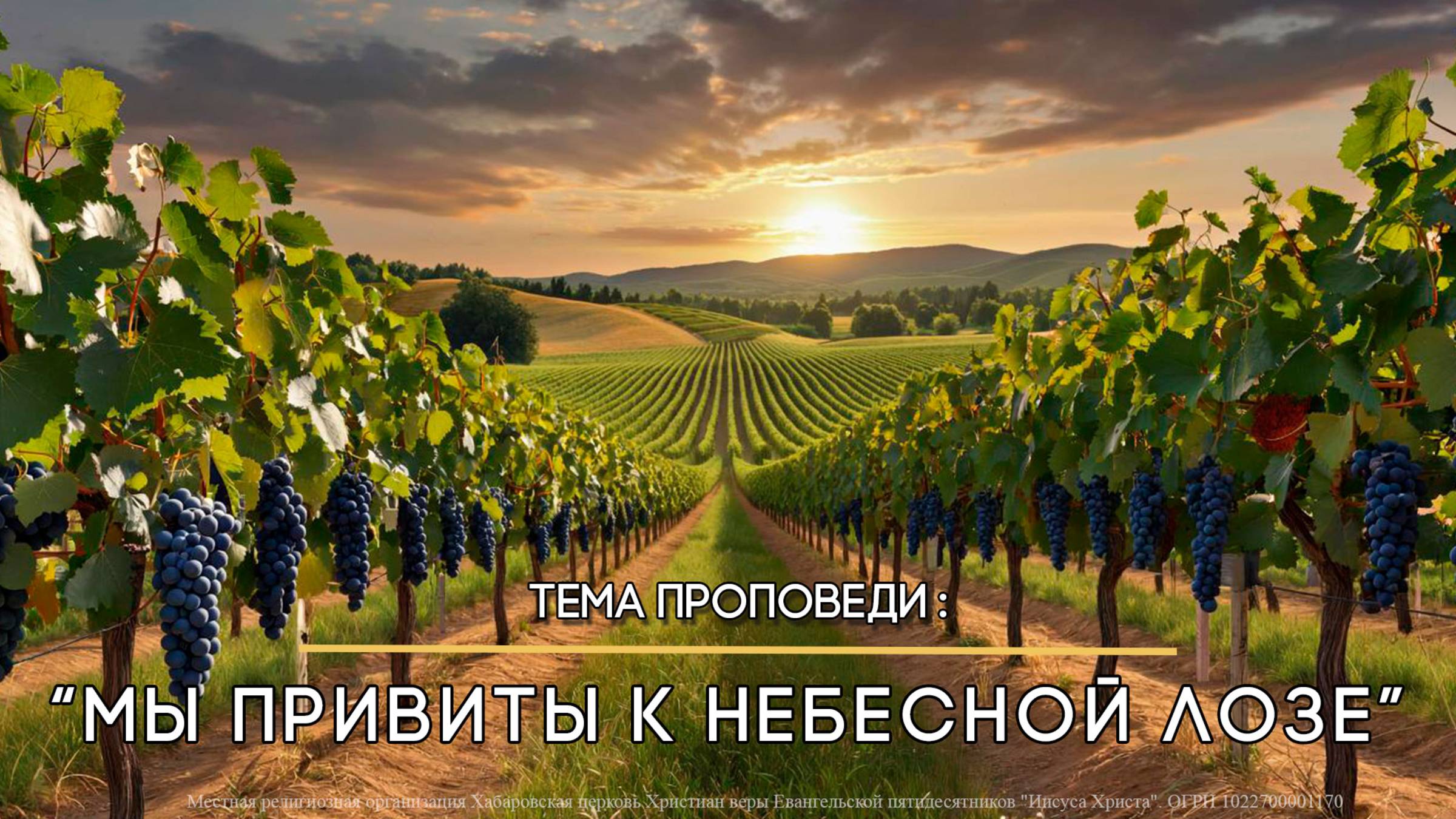 Мы привиты к Небесной Лозе. Пастор Ирина Ильченко. смотреть онлайн