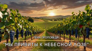 Мы привиты к Небесной Лозе. Пастор Ирина Ильченко.