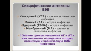 Герпесвирусные инфекции IV-VIII