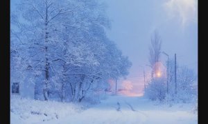 Тихо падает снег! Автор и исполнитель Василий Горчаков