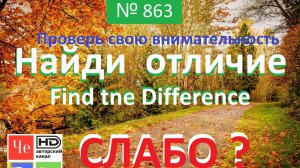 "Найди отличие" / "Spot the Difference" _ выпуск № 863