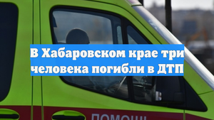 В Хабаровском крае три человека погибли в ДТП