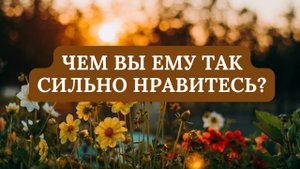 ЧЕМ ВЫ ЕМУ ТАК СИЛЬНО НРАВИТЕСЬ?