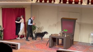 Собачье сердце 27-09-2025