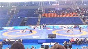 турнир по греко-римской борьбе