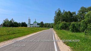 Археологические памятники Орловского полесья.