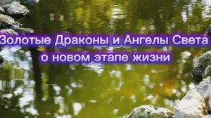 Золотые Драконы и Ангелы Света о новом этапе жизни 16.07.2025г    (85 Послание)