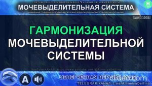 ОСТАНОВИ проблемы с Мочеиспусканием!  Выведи Токсины Саблиминал для Здоровья Мочевой Системы