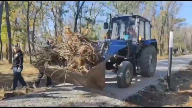 В Саратове убрали более 10 тысяч кубометров мусора