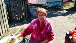 Пришлось спешно всё убрать...Макеевка ДНР Россия , осень пришла...