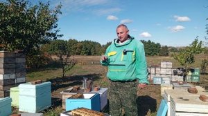пересаживаю семейки 27 сентября