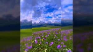 Песня О БУКЕТЕ