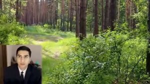 новости 1 сезон конец