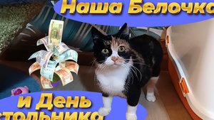 Наша Белочка и День стольника.