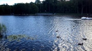 ОЗЕРО ТИХОЕ. СВЕТЛОГОРСК. КАЛИНИНГРАДСКАЯ ОБЛАСТЬ