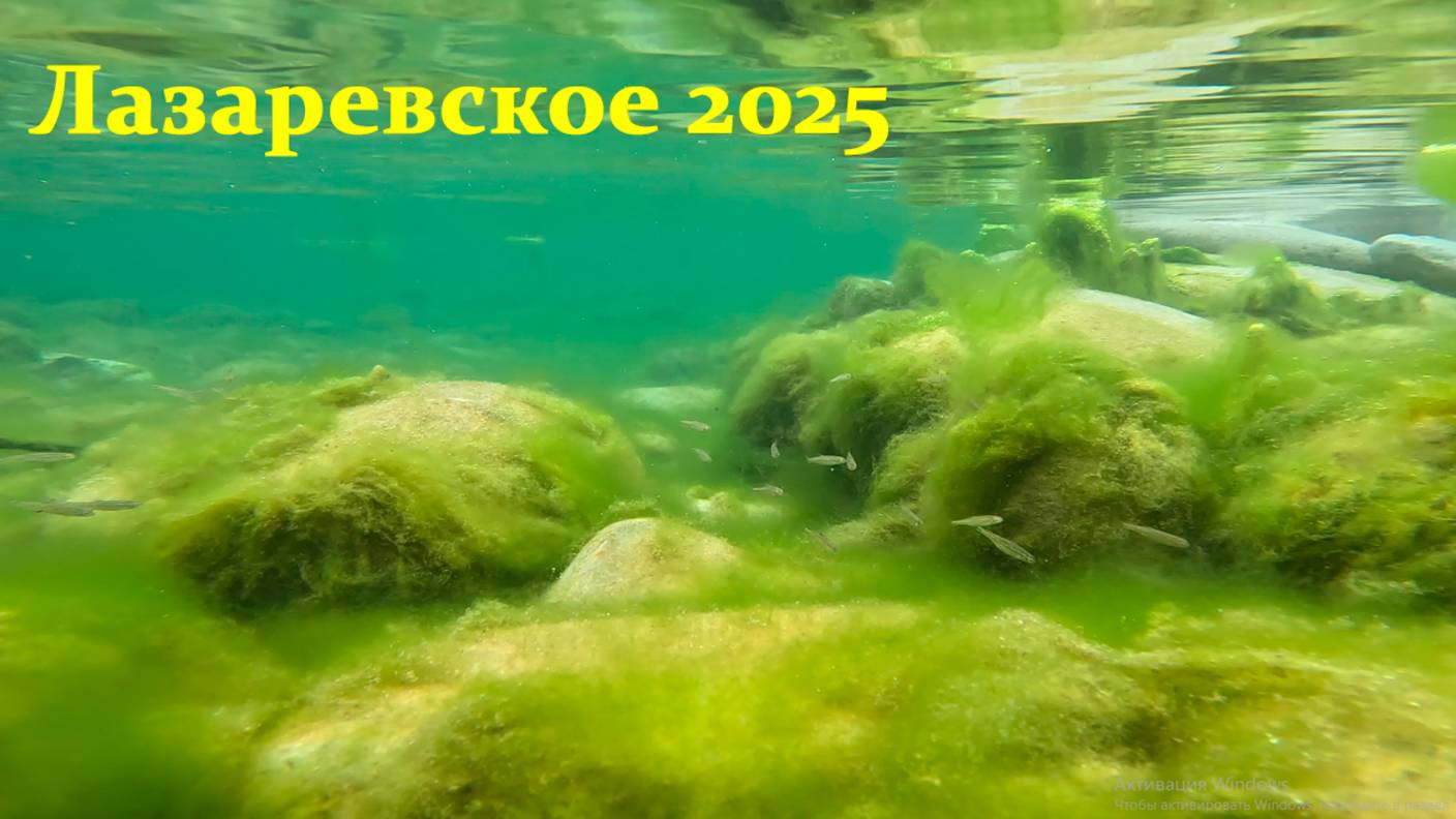Царство водяного! Лазаревское 2025