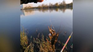 Video 20250927-01.mp4