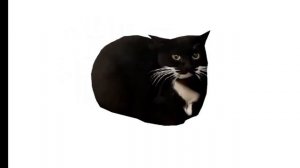 Максвелл танцует