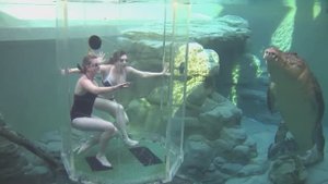 BRAIN TIME.  This Attraction Should Not Exist