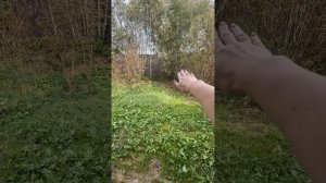 video-output-BB765E86-C8E5-435C-82DC-AD339041BAC9-3