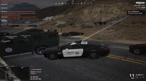 "Перекрытие" Гуси