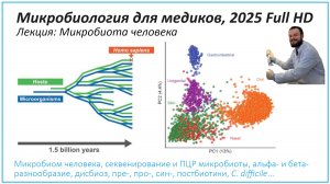 Микробиота человека