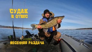 Судак в отвес, ленивый поиск дал результат! р.Кама