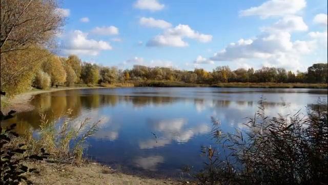 Обсуждение__Поступок_Петра_другой_взгляд_