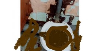 смешные видео и 
шутки