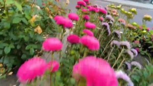 Наш Офис / ГейнцАргоПром