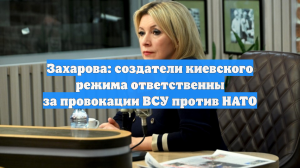 Захарова: создатели киевского режима ответственны за провокации ВСУ против НАТО