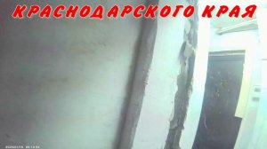 ЧТО ТЫ ДЕЛАЕШЬ