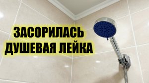 Душевая лейка засорилась? Решение есть