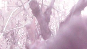 Удаление садовой поросли