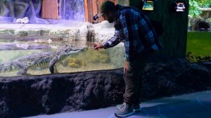 КРАСИВОЕ ВИДЕО О МОРСКИХ ОБИТАТЕЛЯХ И БРАТЬЯХ НАШИХ МЕНЬШИХ подвал ильича ДОБРОЕ ПУТЕШЕСТВИЕ Москва