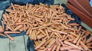 Наши 8,4 сотки🏡Переделки моей клумбы с 🌸🌼🌺цветами.Доделали часть дорожек .Урожай моркови👍💪