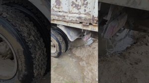 Приют затопило по халатности государства. Сегодня был сверх трудный и напряжённый день