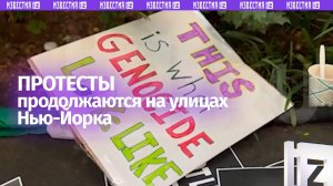 ПРОПАЛЕСТИНСКИЕ ИЗ