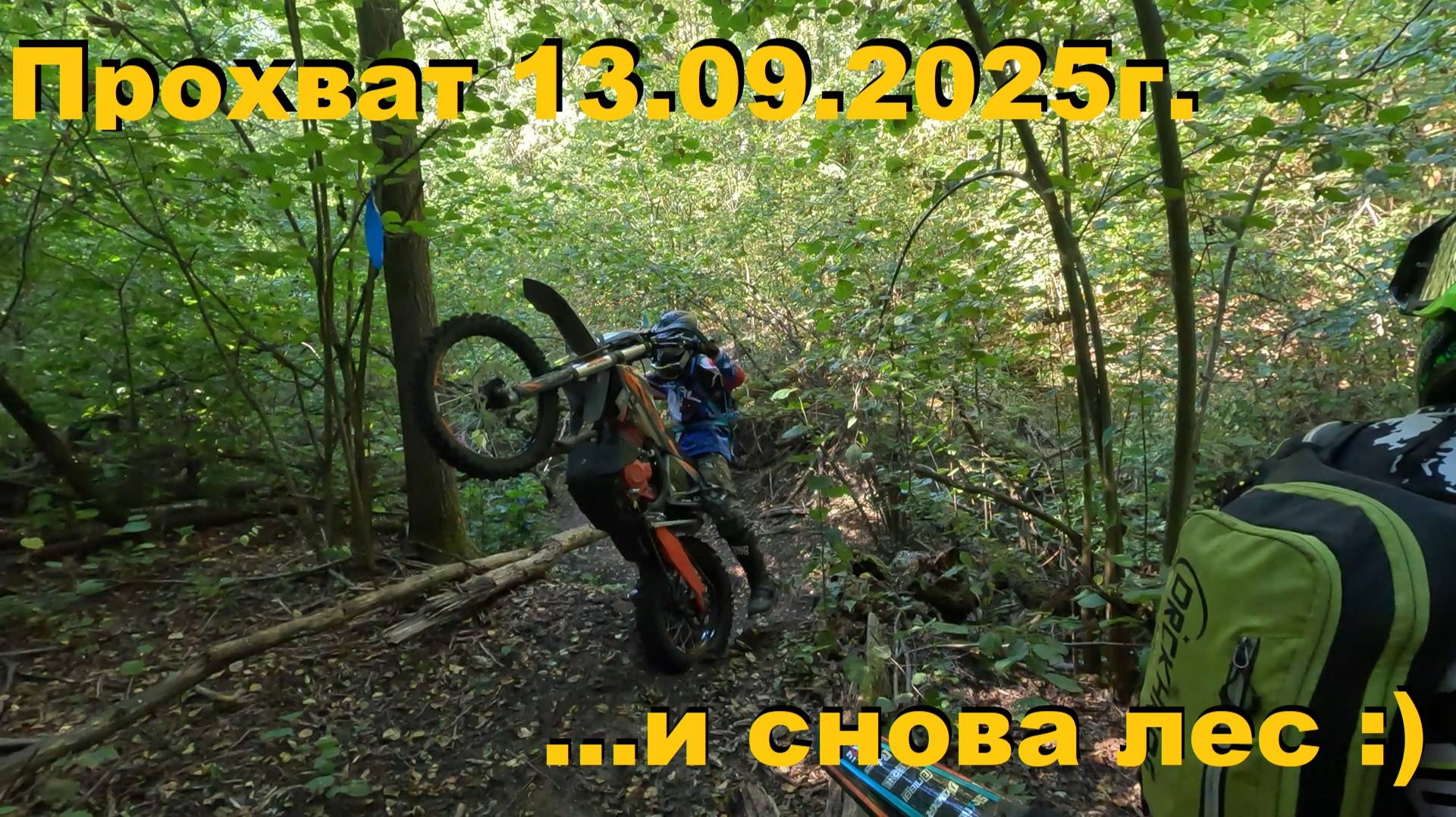 Тёмный лес