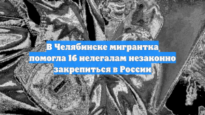 В Челябинске мигрантка помогла 16 нелегалам незаконно закрепиться в России