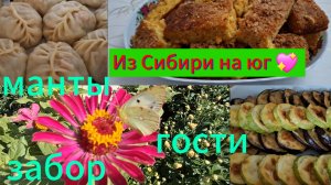 27-09-2025 Из Сибири на юг 💖/ Купили дом на юге ☀️/Готовимся к встрече гостей/Манты/Забор/Магазин/