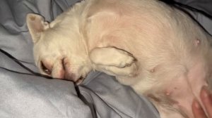 Всем наидобрейшего субботнего утречка.