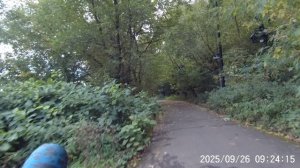 До 90 тысяч: водителей скорой оштрафовали за "бесплатную" парковку