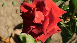 22==09==2025  ПВН  КМР   (192)