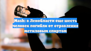Mash: в Ленобласти еще шесть человек погибли от отравления метиловым спиртом