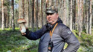 ПОШЕЛ 1-й СЛОЙ БОРОВИКА!!.. Мурманская обл..!!.. Ковдозеро 2025.!!!