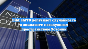 Bild: НАТО допускает случайность в инциденте с воздушным пространством Эстонии
