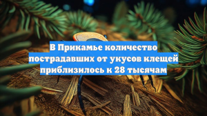 В Прикамье количество пострадавших от укусов клещей приблизилось к 28 тысячам